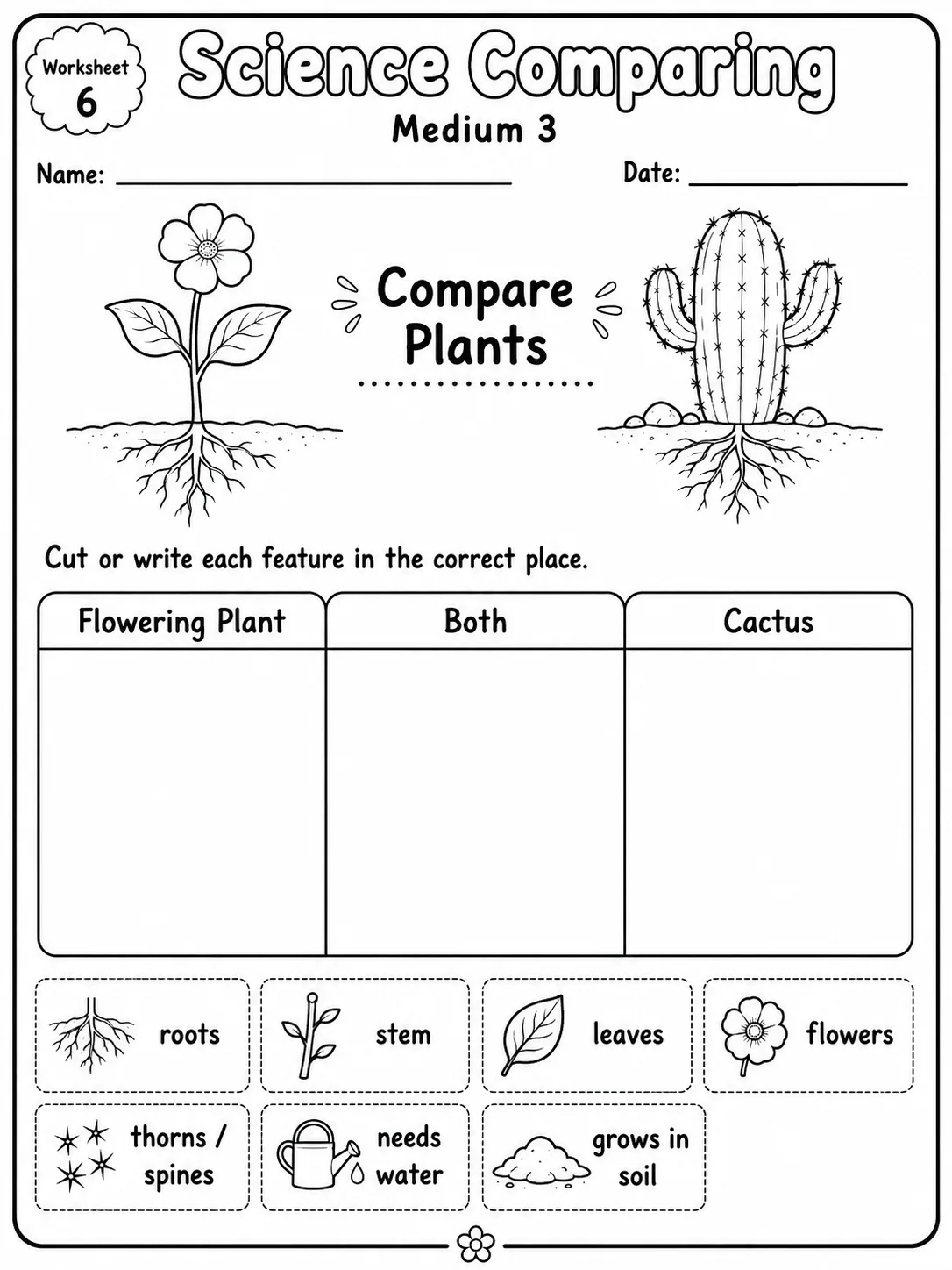 Science Comparing Easy I Worksheet Pack - Set 2 page 6 printable worksheet preview