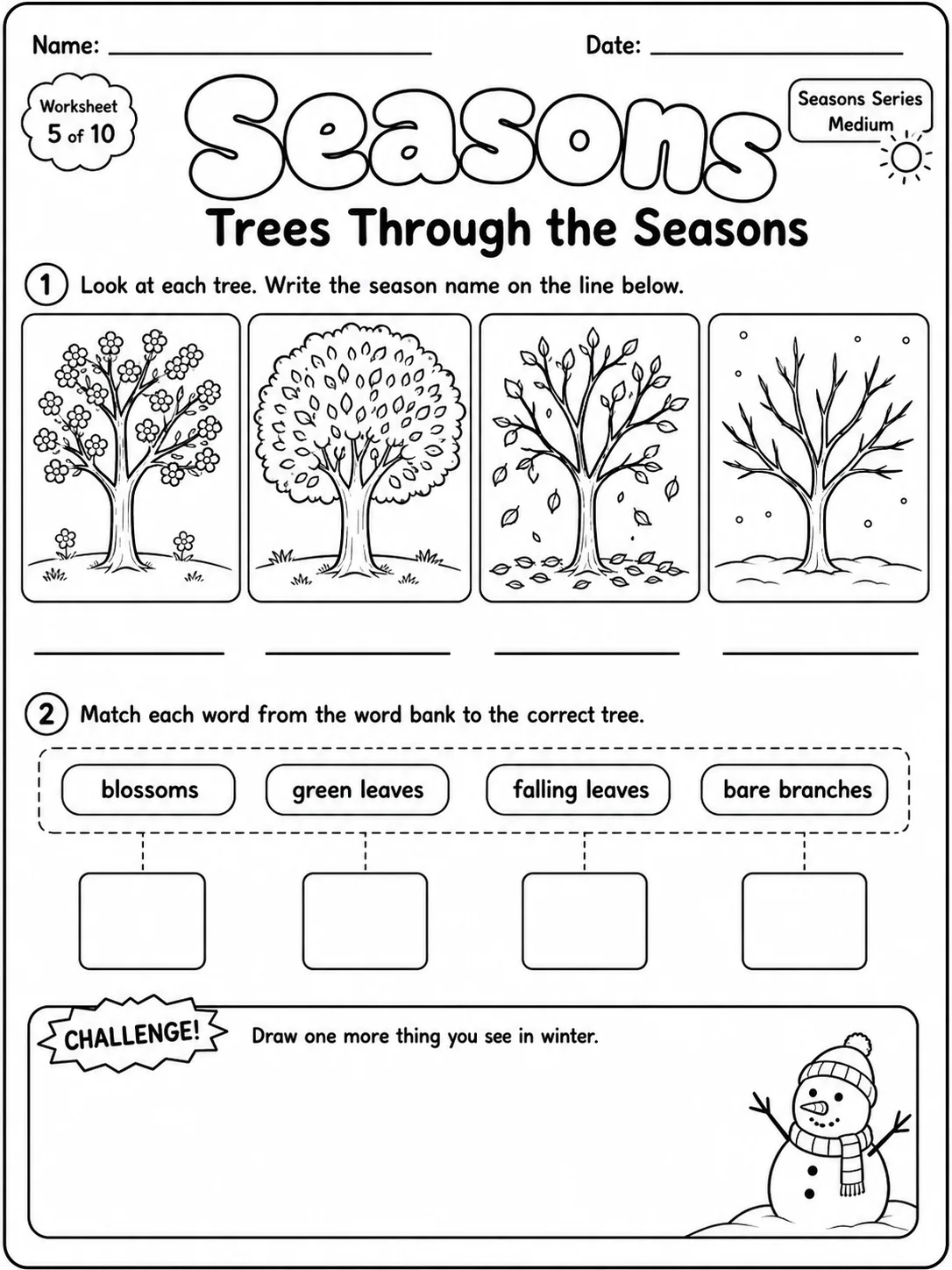Seasons Worksheet Pack - Set 2 page 5 printable worksheet preview