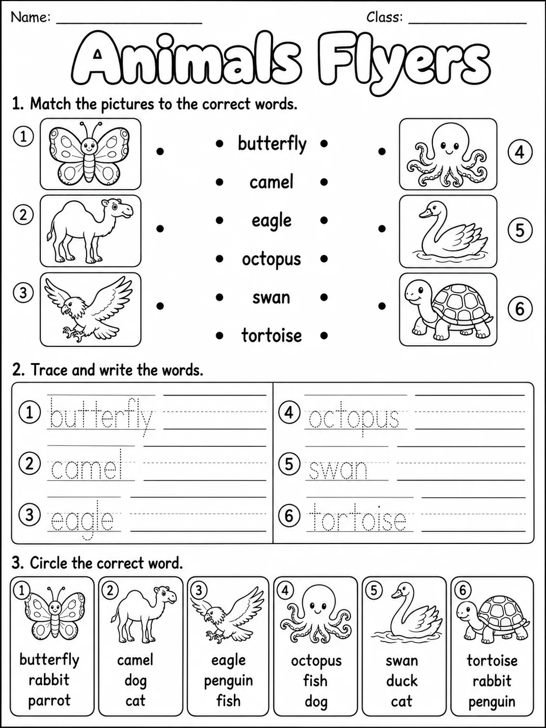 Animals Flyers Vocabulary Worksheet Pack printable Flyers English worksheet bundle preview from KiwiBee