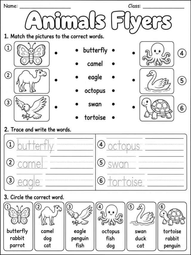 Animals Flyers Vocabulary Worksheet Pack