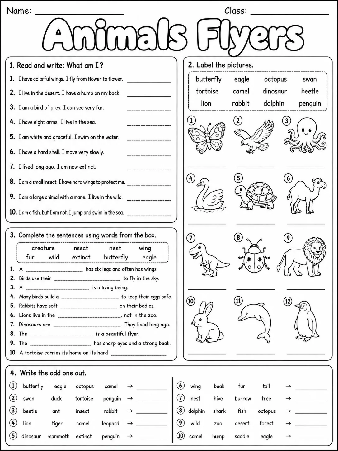 Animals Flyers Vocabulary Worksheet Pack page 9 printable worksheet preview