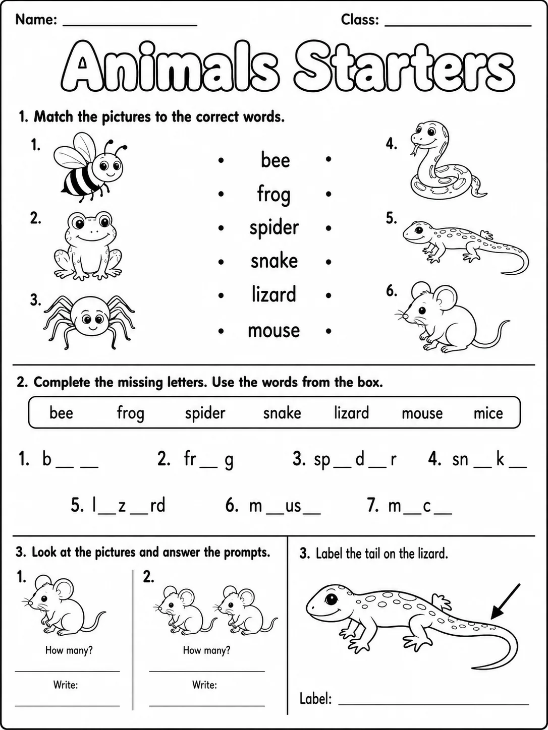 Animals Starters Vocabulary Worksheet Pack page 3 printable worksheet preview