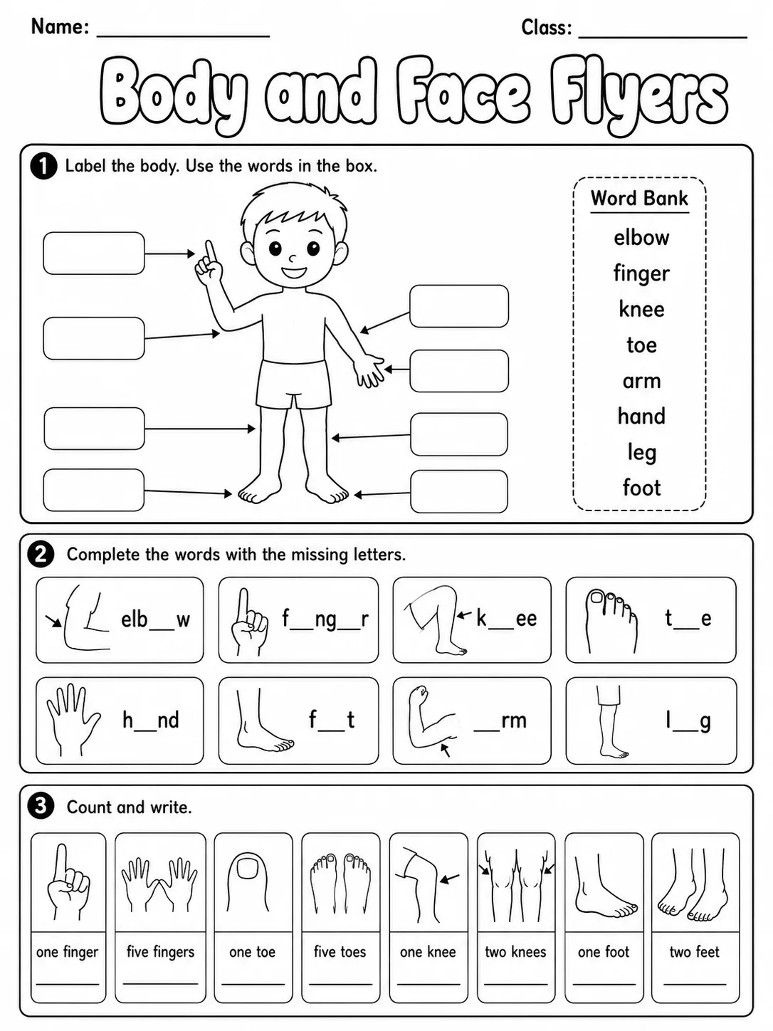 Body and Face Flyers Vocabulary Worksheet Pack page 2 printable worksheet preview