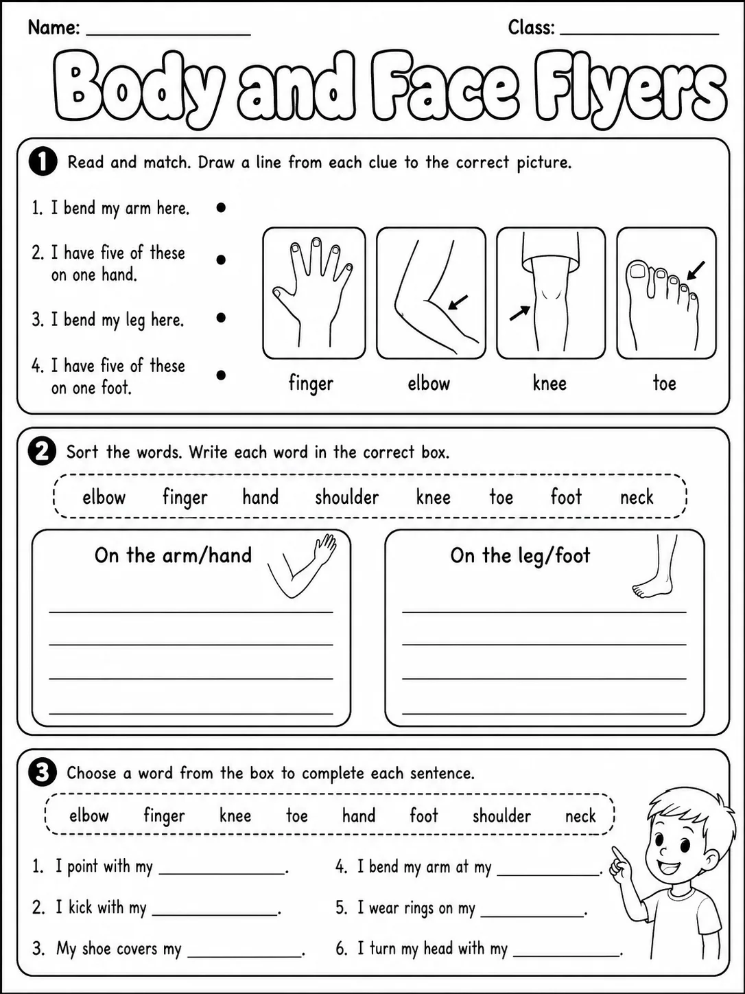 Body and Face Flyers Vocabulary Worksheet Pack page 3 printable worksheet preview