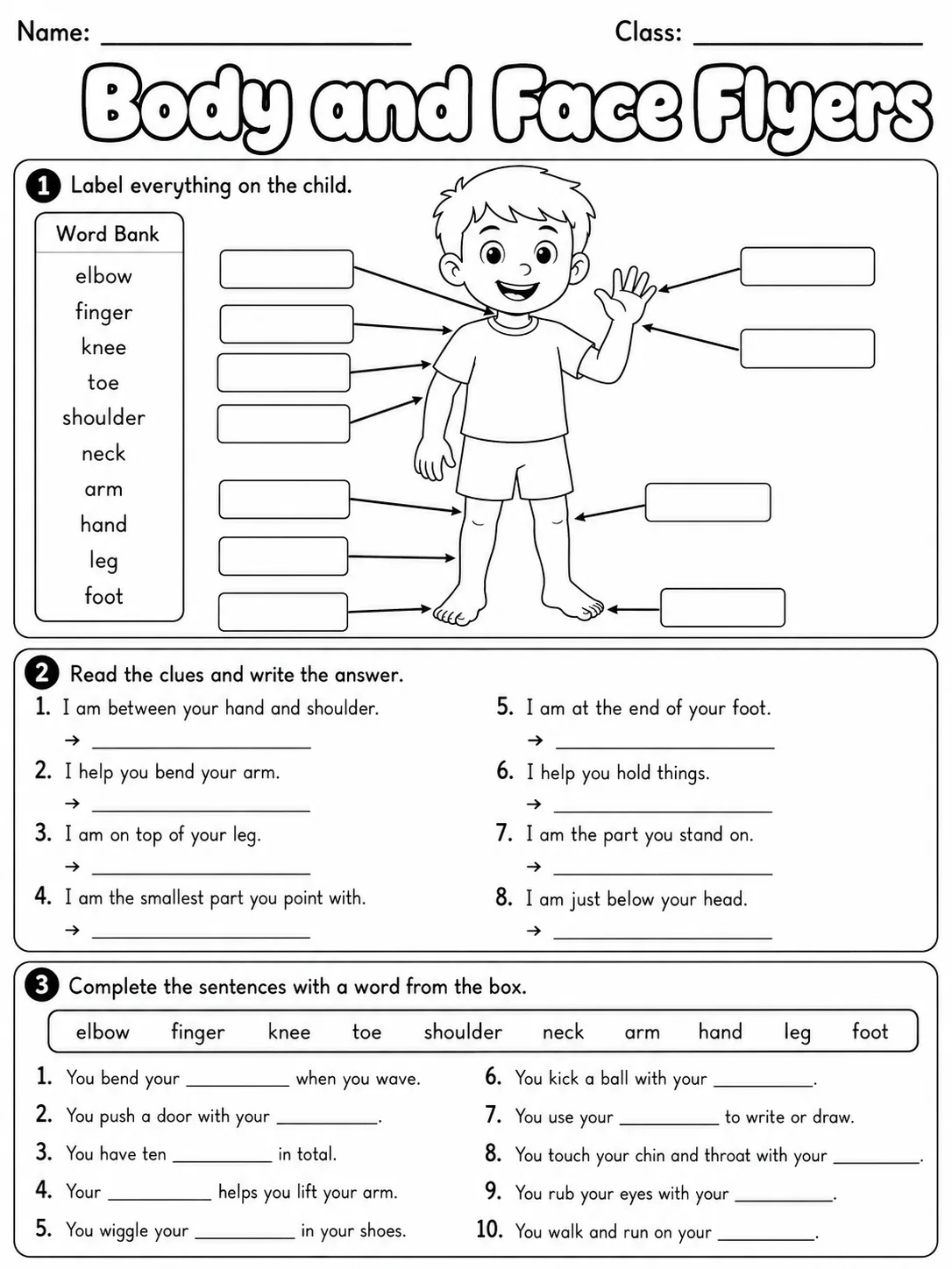 Body and Face Flyers Vocabulary Worksheet Pack page 5 printable worksheet preview