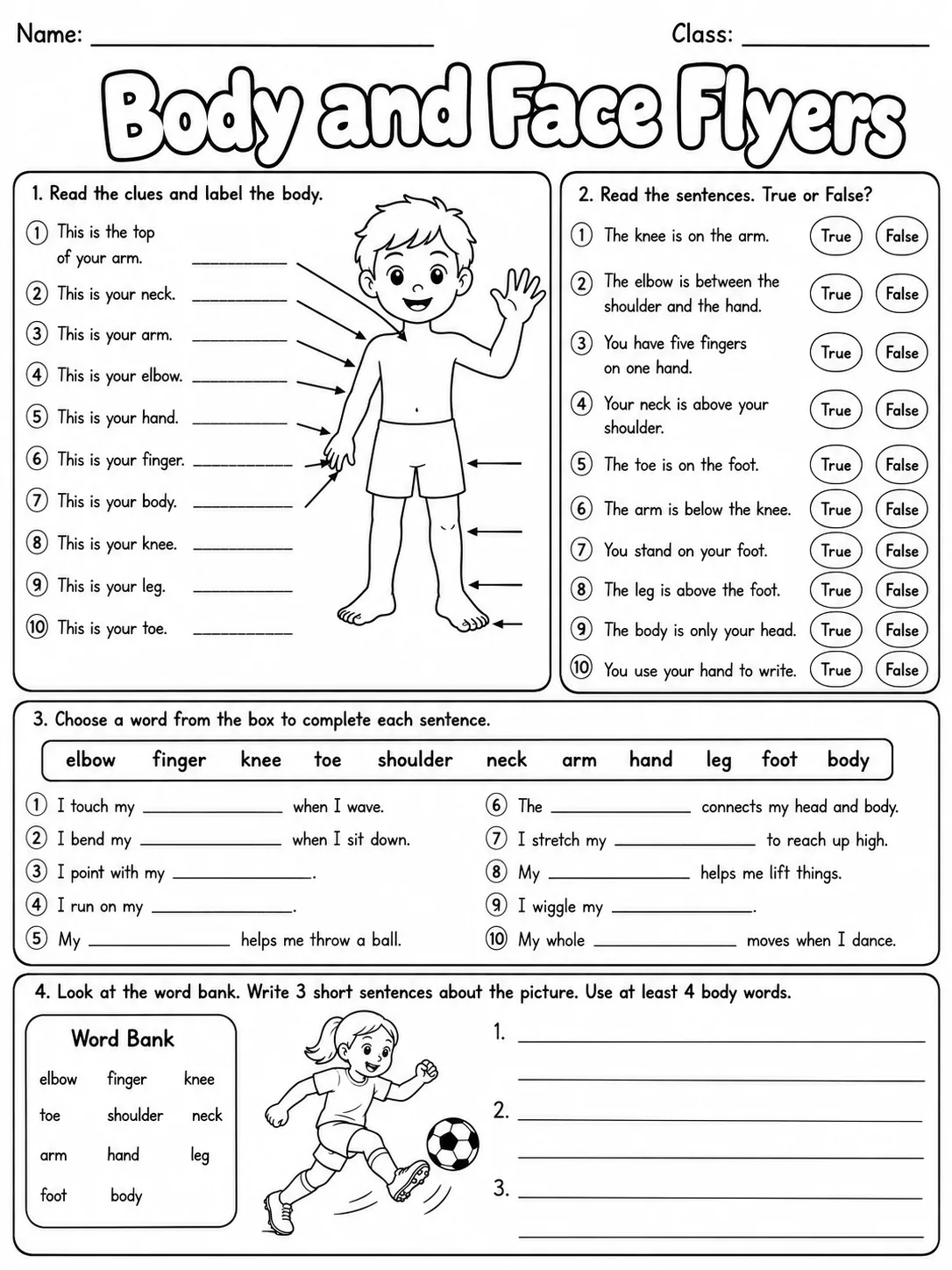 Body and Face Flyers Vocabulary Worksheet Pack page 7 printable worksheet preview