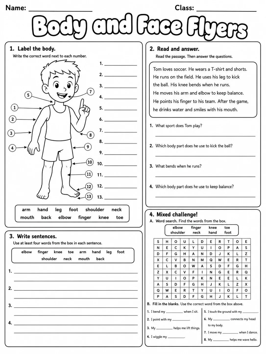 Body and Face Flyers Vocabulary Worksheet Pack page 10 printable worksheet preview