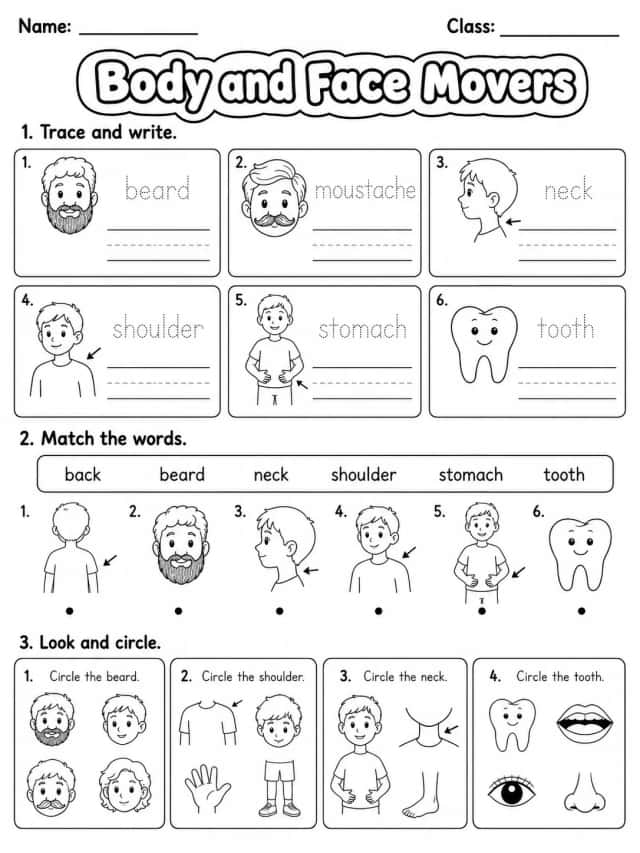 Body and Face Movers Vocabulary Worksheet Pack