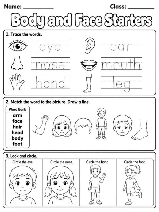 Body and Face Starters Vocabulary Worksheet Pack