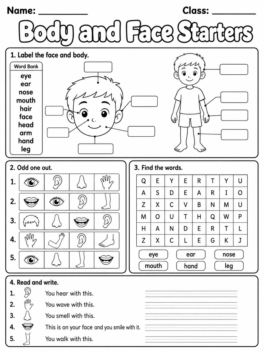 Body and Face Starters Vocabulary Worksheet Pack page 6 printable worksheet preview
