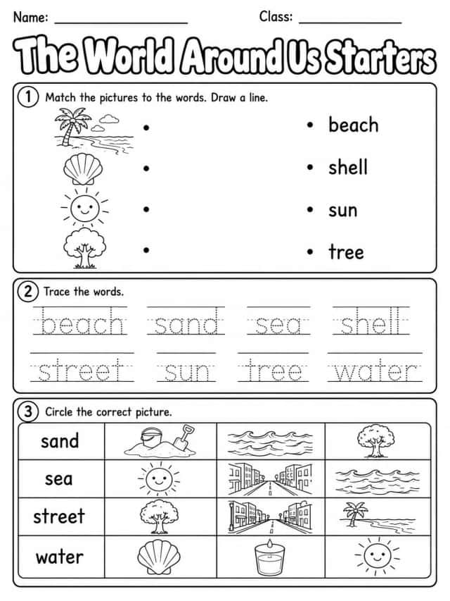 The World Around Us Starters Vocabulary Worksheet Pack