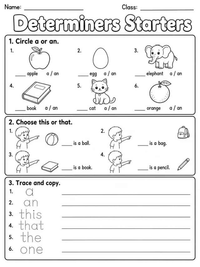 Determiners Starters Vocabulary Worksheet Pack