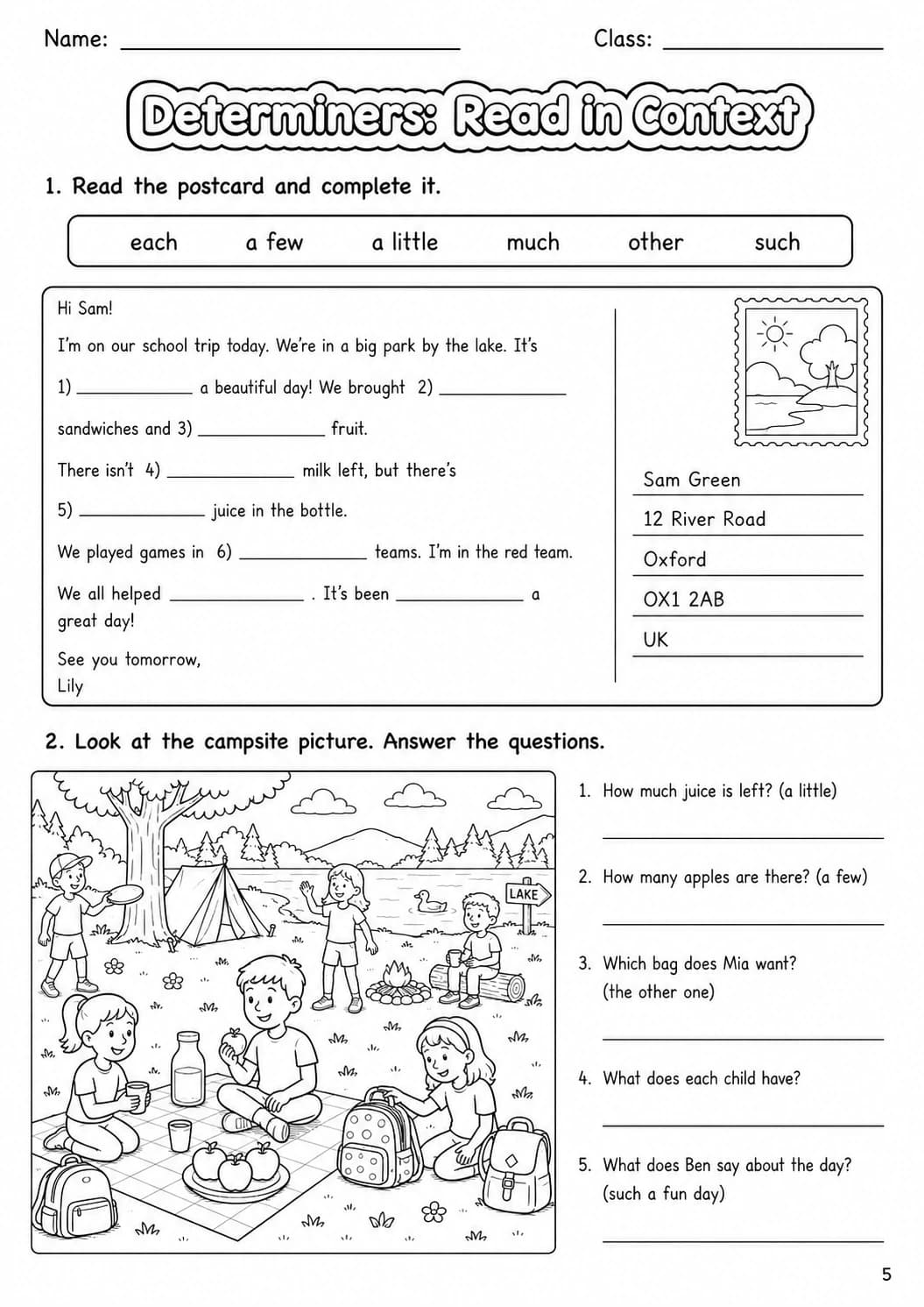 Determiners Flyers Grammar Worksheet Pack page 7 printable worksheet preview