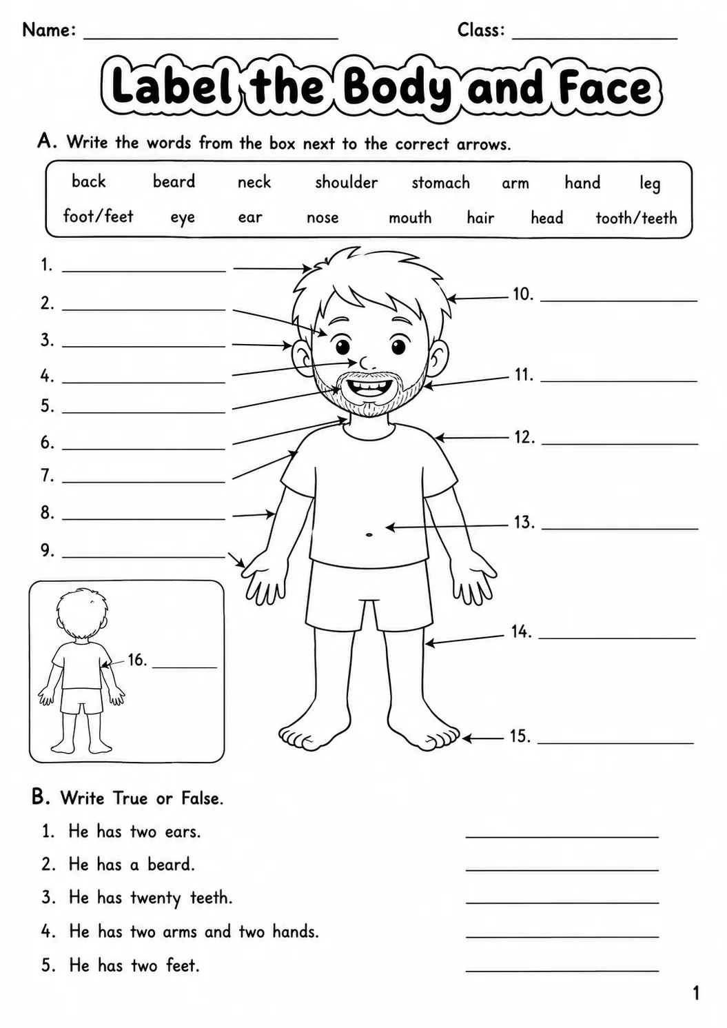 The Body and the Face Movers Vocabulary Worksheet Pack page 3 printable worksheet preview