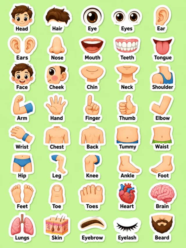 Body and Face Printable Sticker Sheet - Set 2