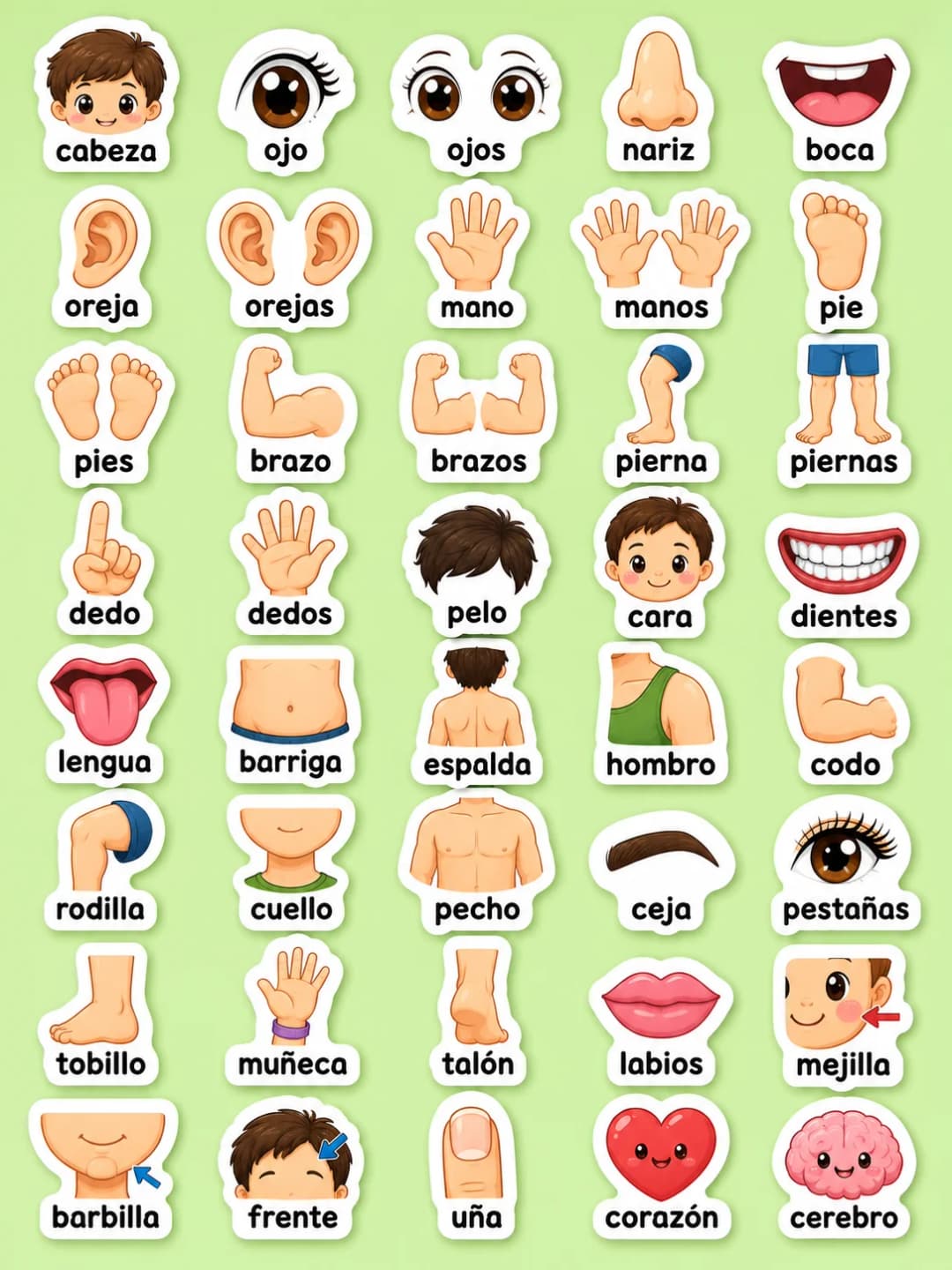 Cuerpo y cara - Hoja de pegatinas imprimibles
