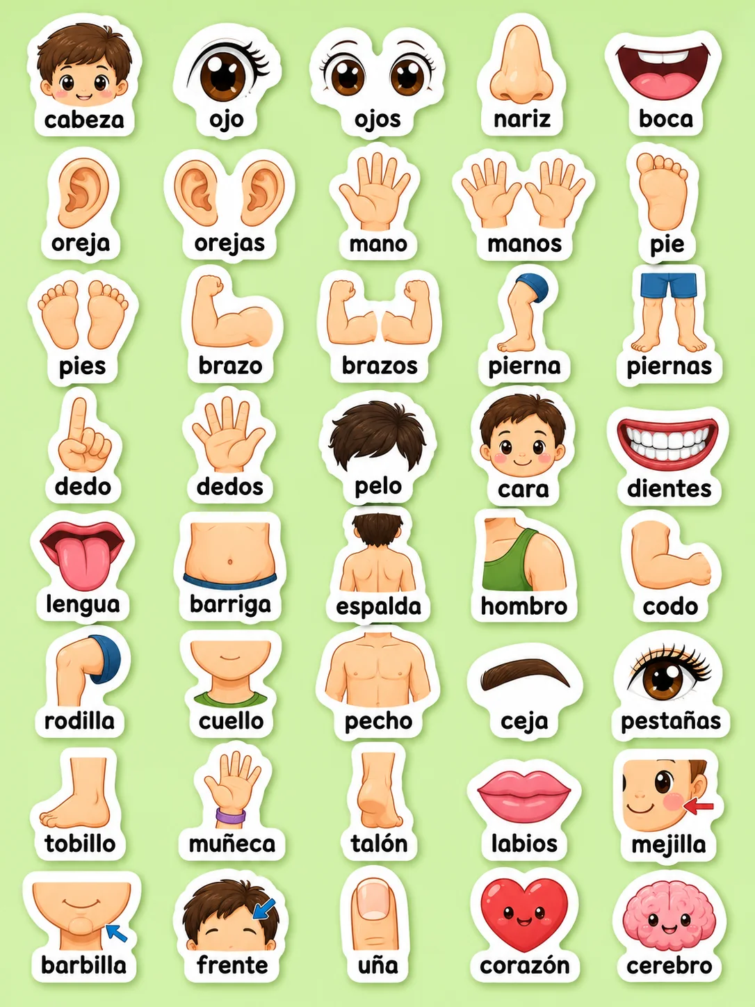 Cuerpo y cara - Hoja de pegatinas imprimibles