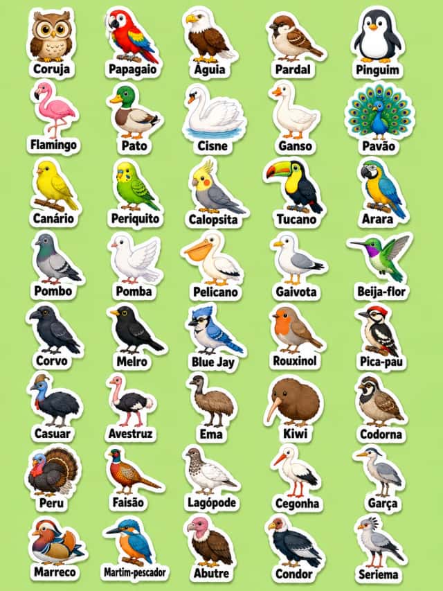 Aves - Folha de adesivos imprimíveis