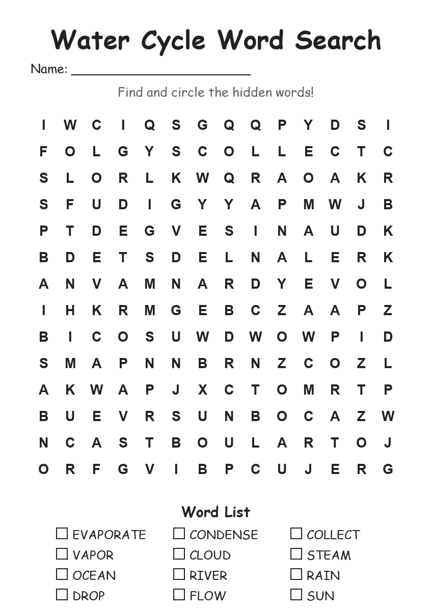 Water Cycle word search worksheet for Grade 3