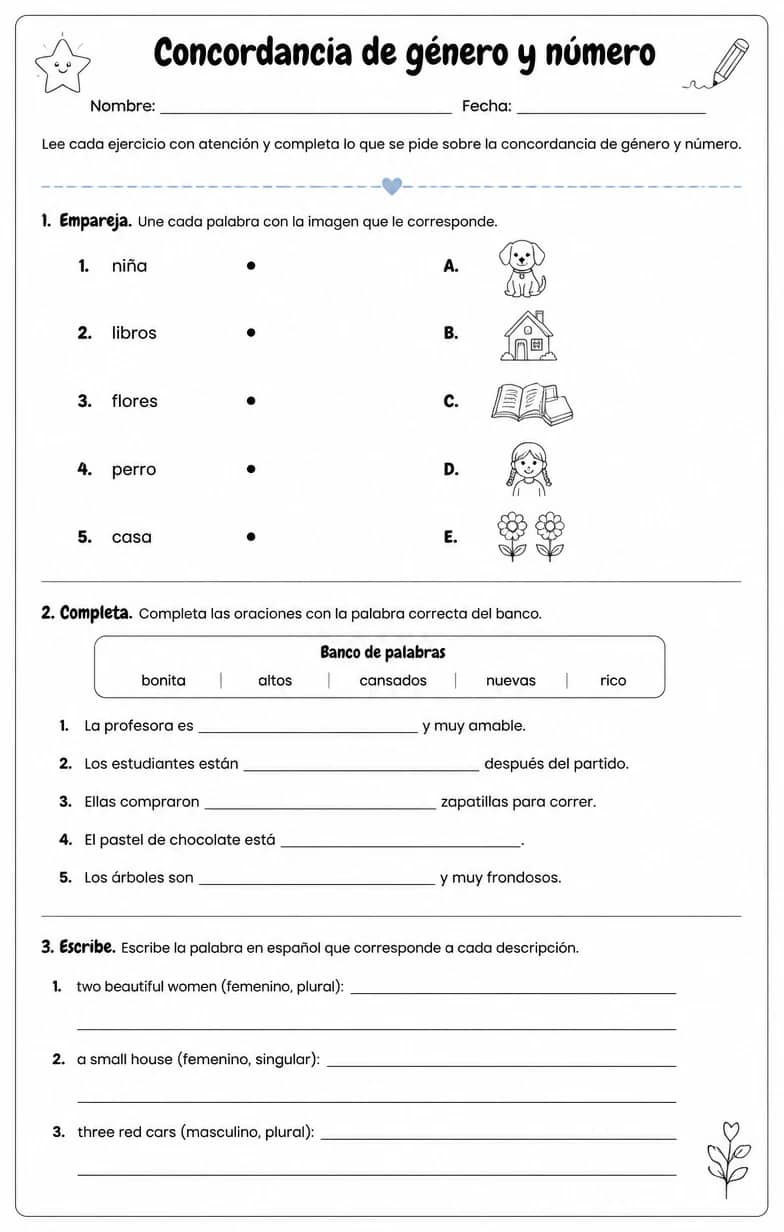 Reconocer palabras, frases o oraciones en español relacionadas con la concordancia de adjetivos. — free printable Middle School Spanish worksheet