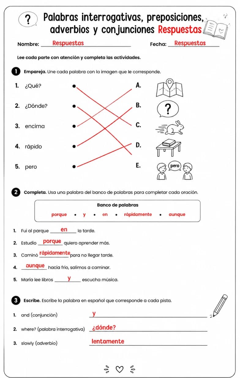 Answer key for Reconocer palabras, frases u oraciones en español relacionadas con conjunciones. — free printable Spanish worksheet