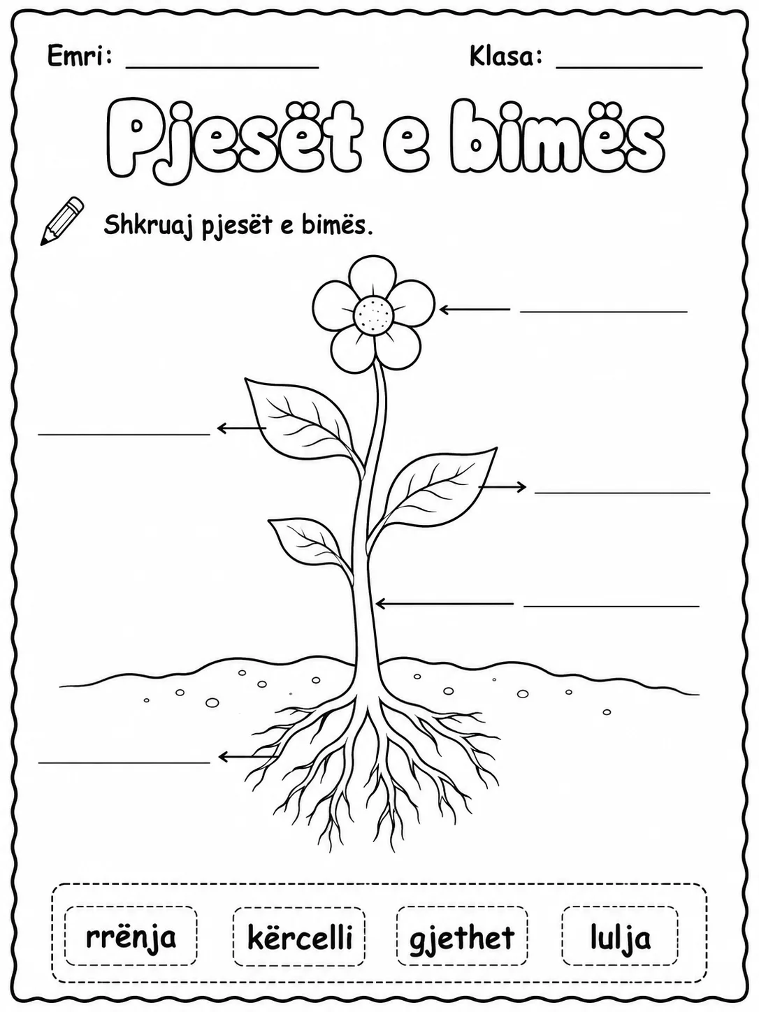 Bimët - Pako fletësh pune faqja 2 - pamje e fletës së punës