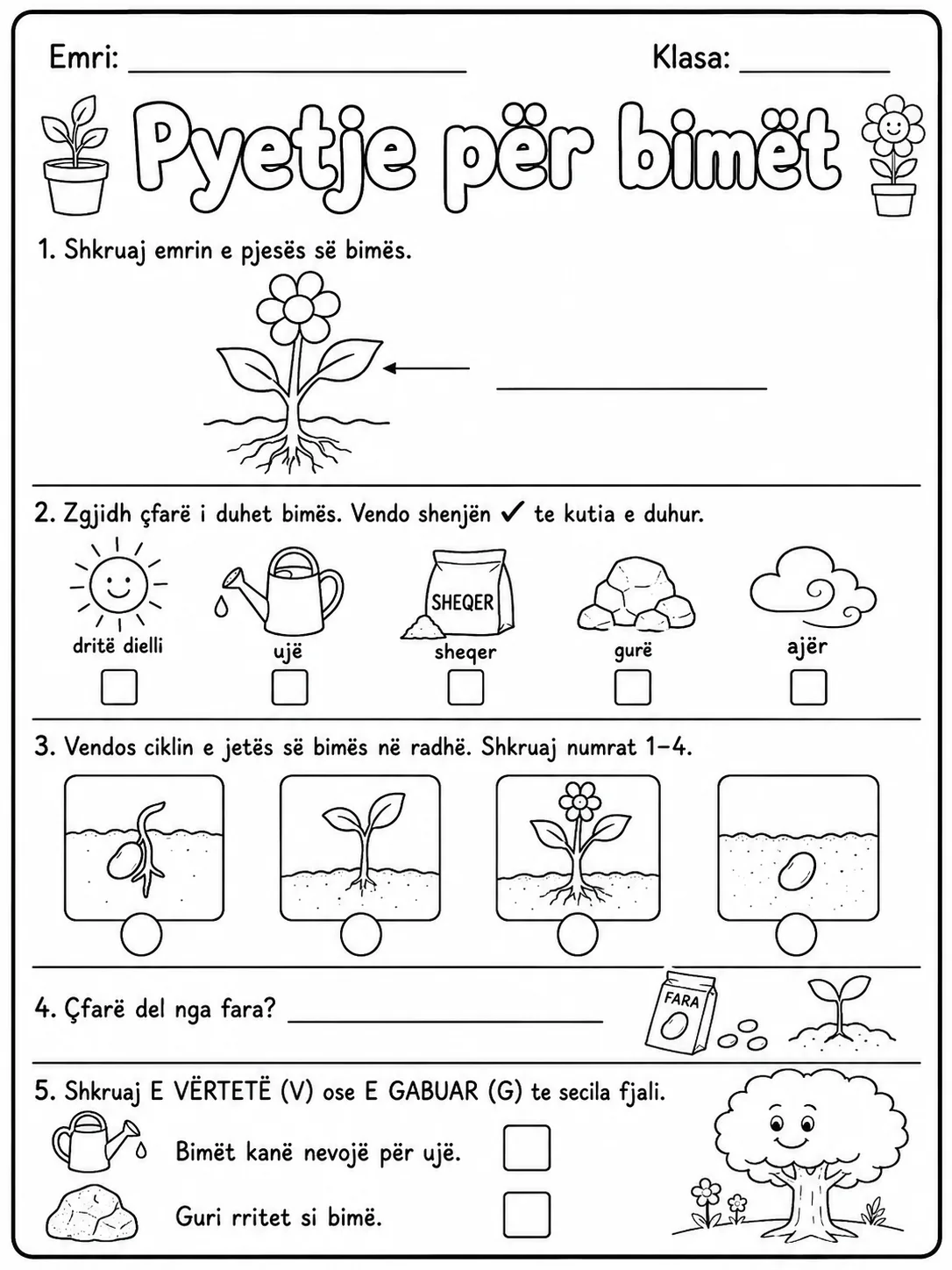 Bimët - Pako fletësh pune faqja 10 - pamje e fletës së punës