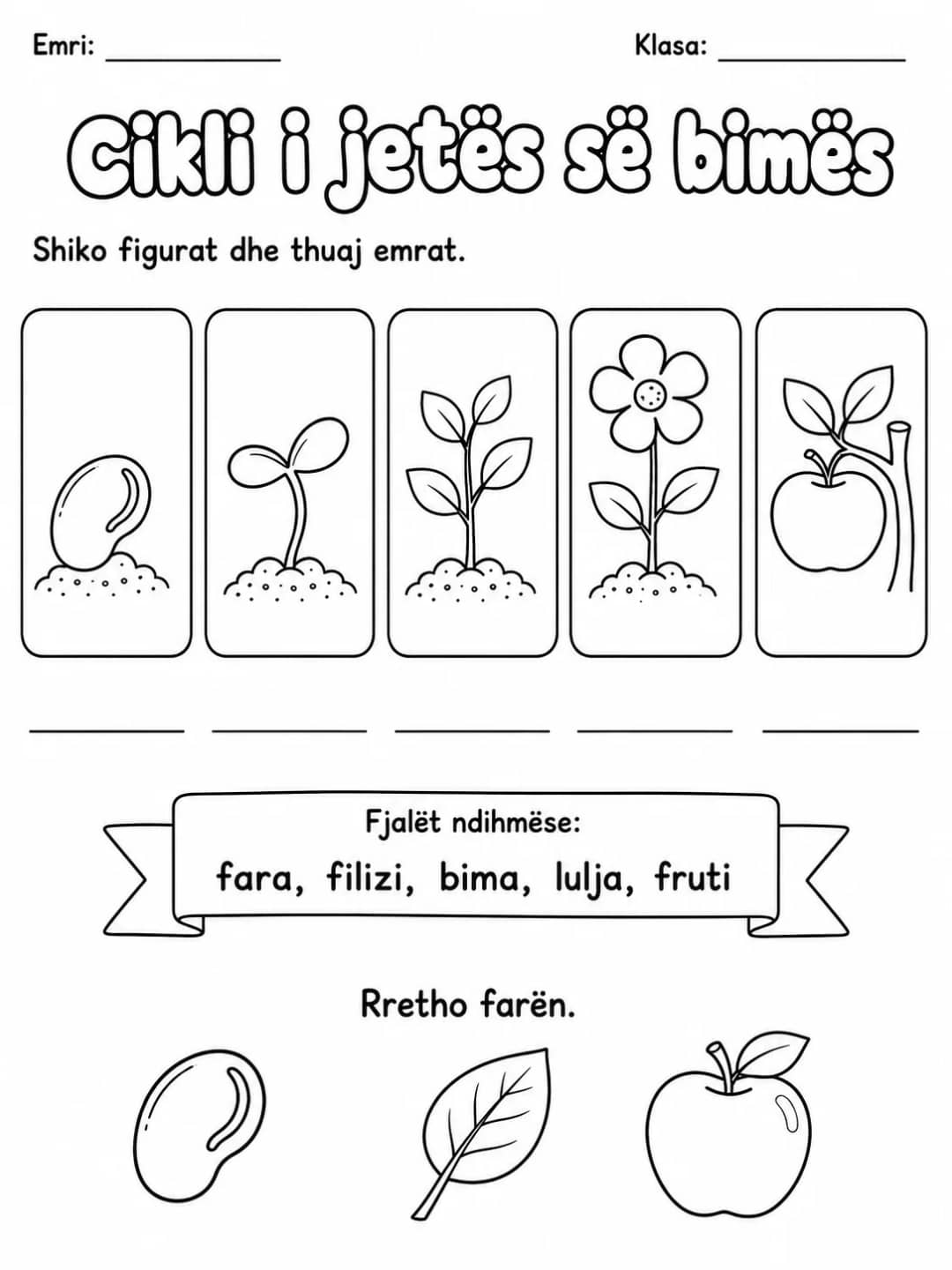Cikli i jetës së bimës - Pako fletësh pune - 10 faqe të shtypshme për dituri natyre nga KiwiBee
