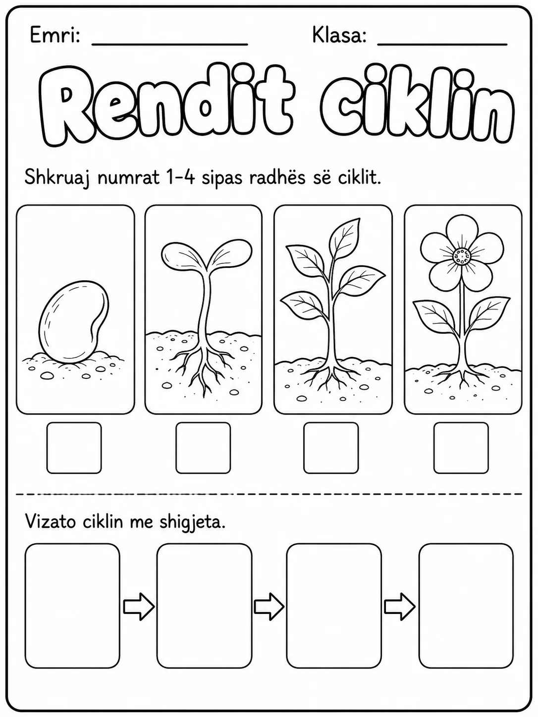 Cikli i jetës së bimës - Pako fletësh pune faqja 2 - pamje e fletës së punës
