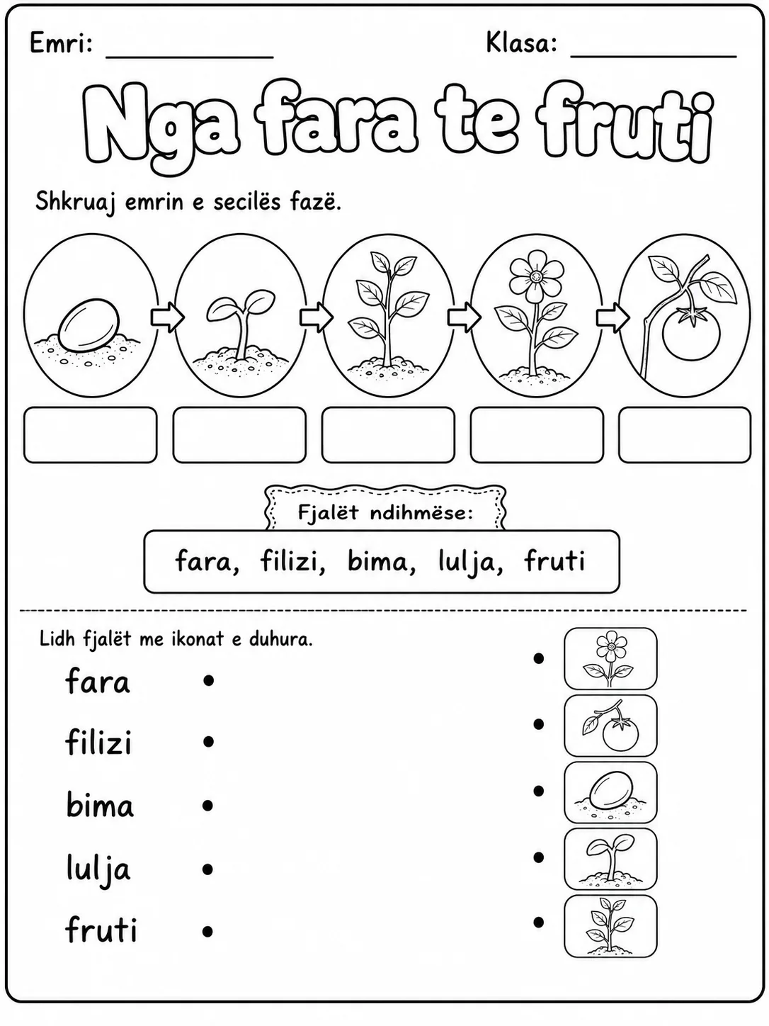 Cikli i jetës së bimës - Pako fletësh pune faqja 3 - pamje e fletës së punës