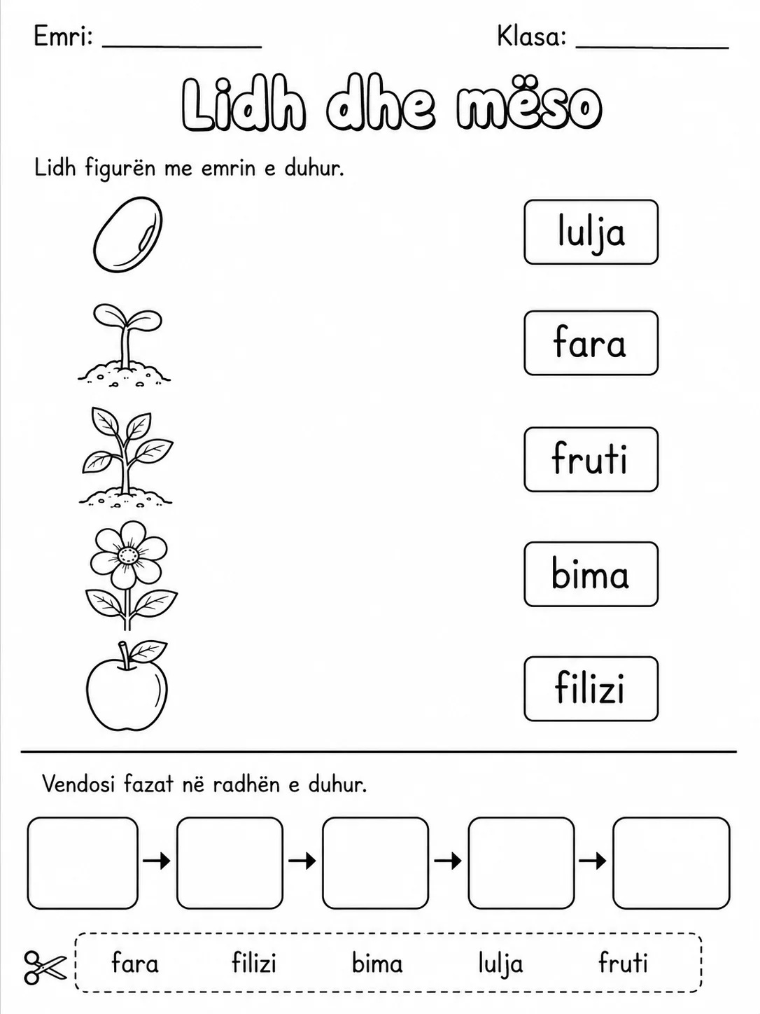Cikli i jetës së bimës - Pako fletësh pune faqja 5 - pamje e fletës së punës