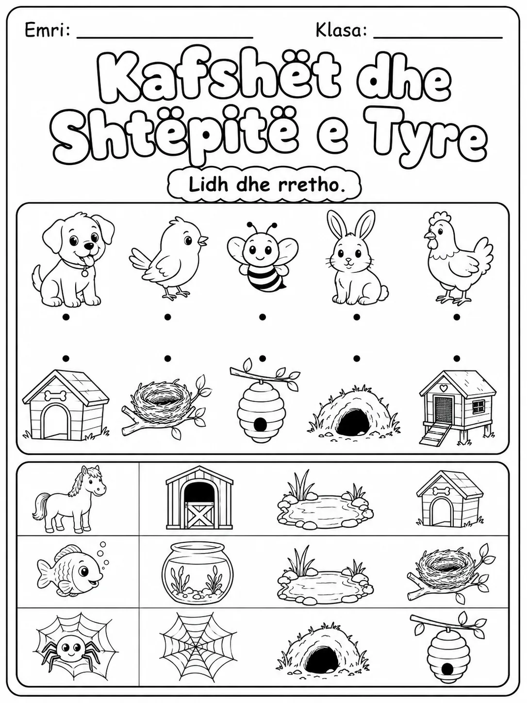 Matja në shkencë - Pako fletësh pune faqja 10 - pamje e fletës së punës