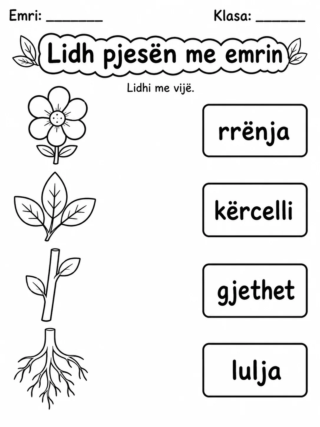 Pjesët e bimës - Pako fletësh pune faqja 3 - pamje e fletës së punës