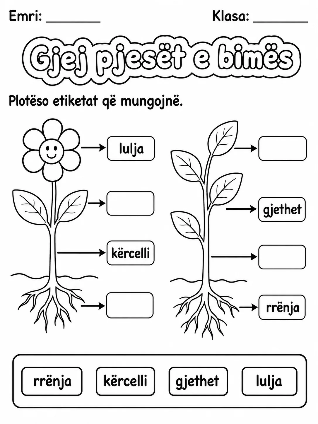Pjesët e bimës - Pako fletësh pune faqja 4 - pamje e fletës së punës