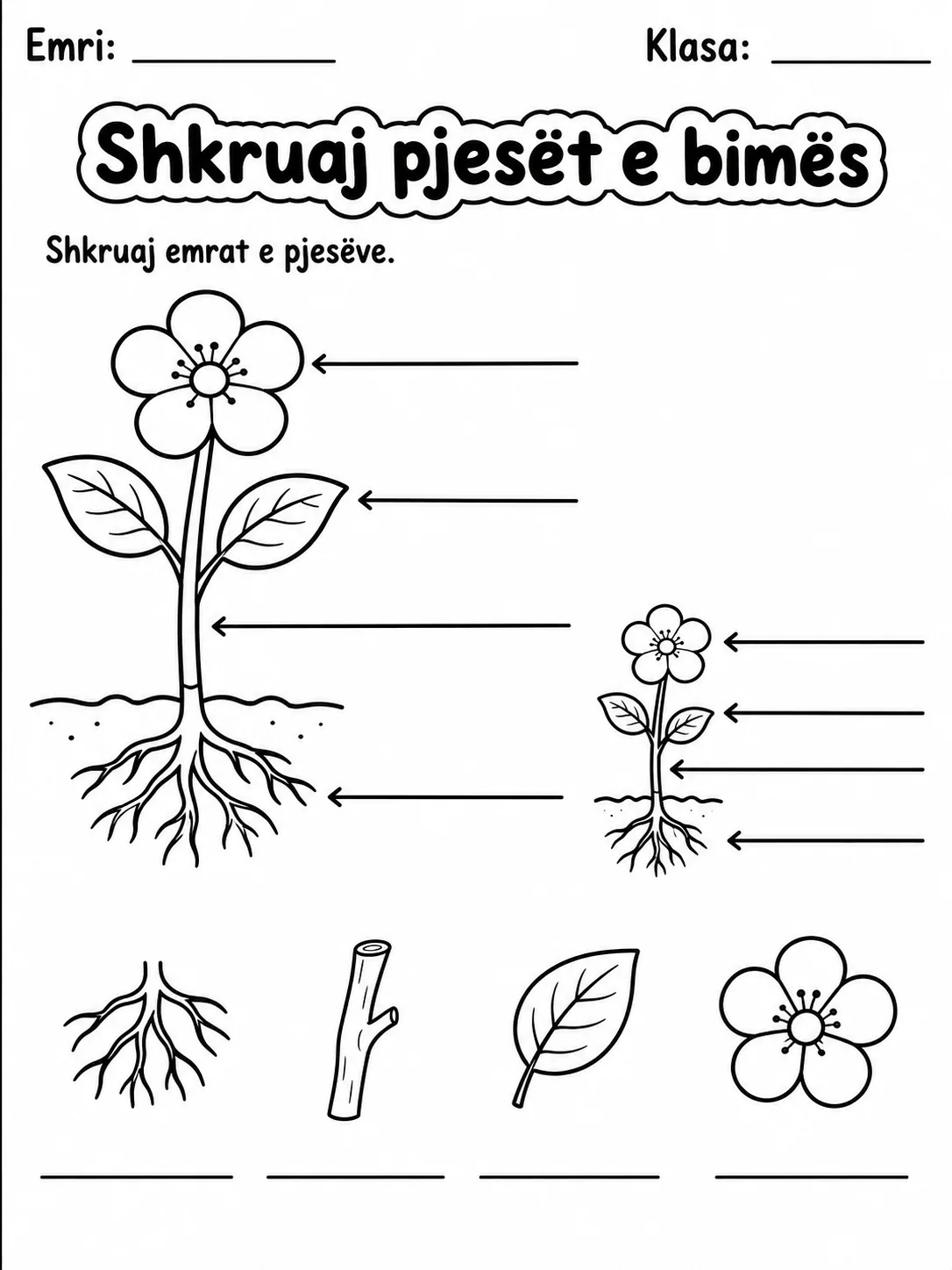 Pjesët e bimës - Pako fletësh pune faqja 10 - pamje e fletës së punës