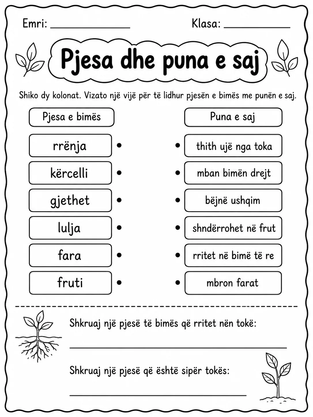 Pjesët e bimës - Pako fletësh pune faqja 5 - pamje e fletës së punës