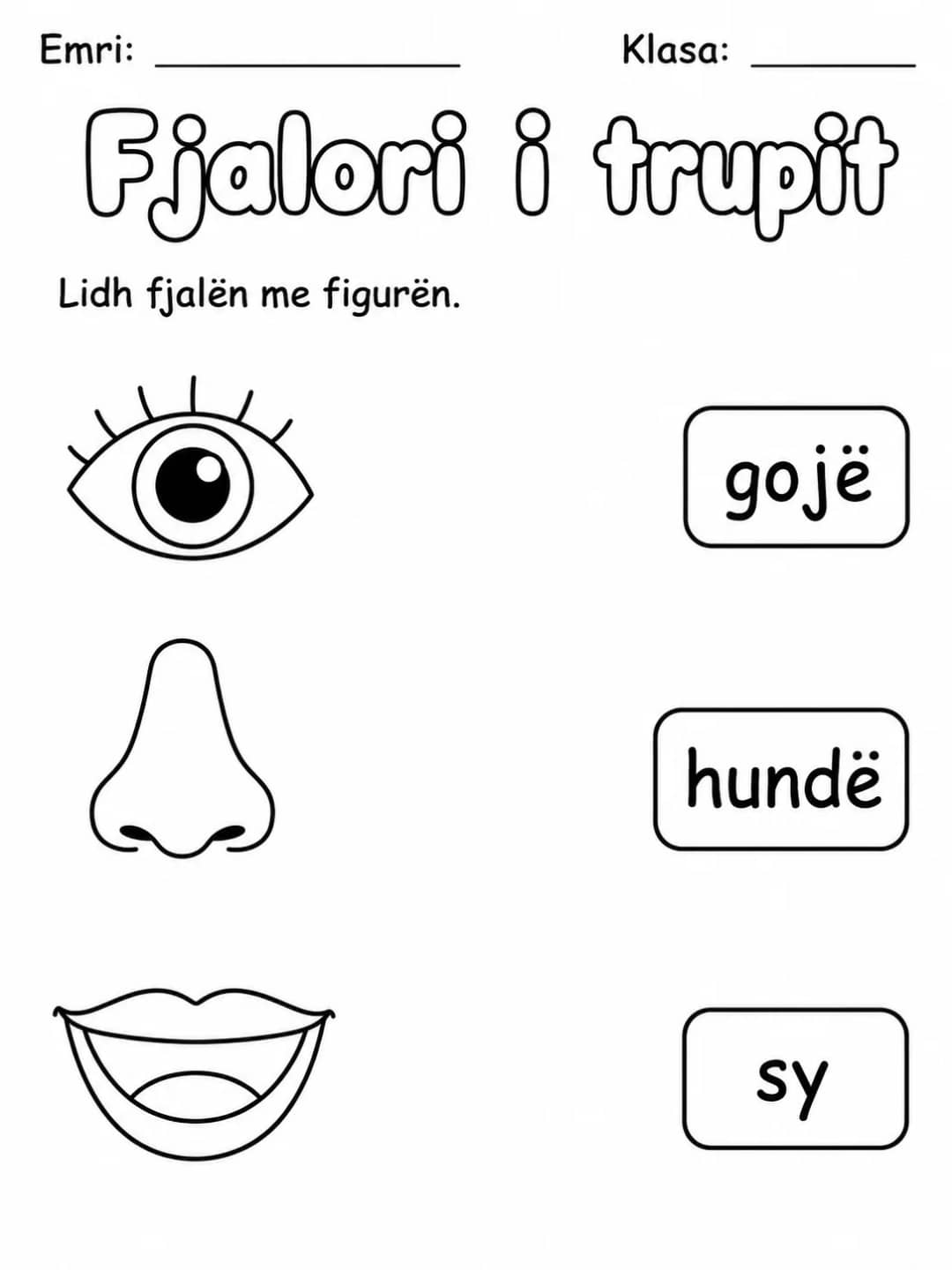 Fjalori i trupit - Pako fletësh pune - Grupi 2 - 9 faqe të shtypshme për gjuhë shqipe dhe drejtshkrim nga KiwiBee