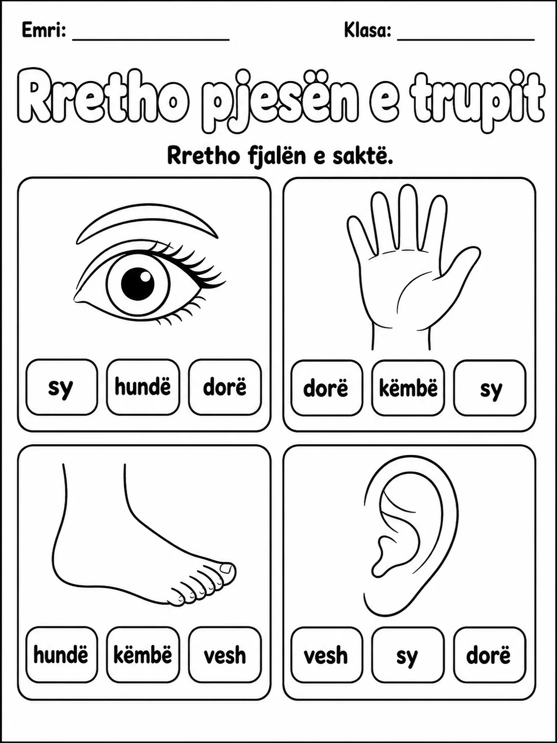 Fjalori i trupit - Pako fletësh pune - Grupi 2 faqja 3 - pamje e fletës së punës