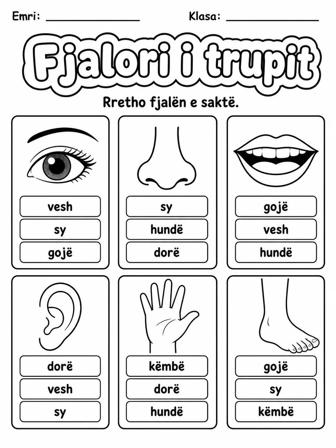 Fjalori i trupit - Pako fletësh pune - Grupi 3 faqja 3 - pamje e fletës së punës