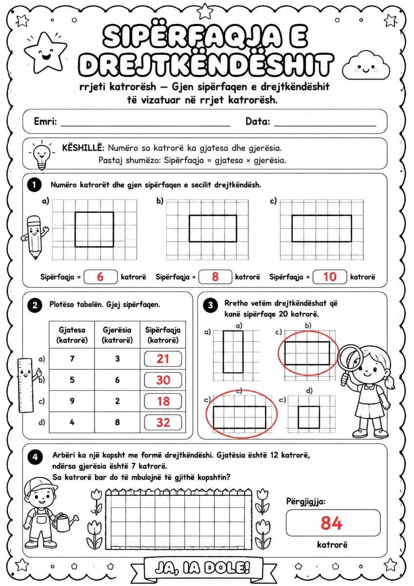 Answer key for Sipërfaqja e drejtkëndëshit — rrjeti katrorësh — free printable Math worksheet