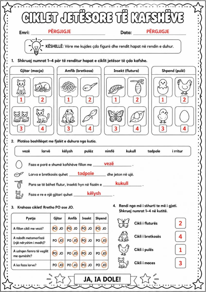 Answer key for Ciklet jetësore të kafshëve — free printable Science worksheet