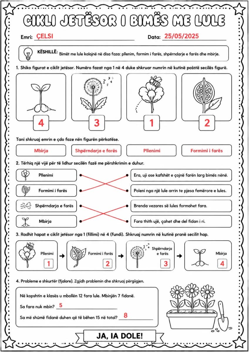 Answer key for Cikli jetësor i bimës me lule — free printable Science worksheet