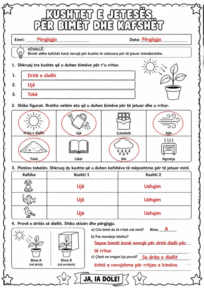 Answer key for Kushtet e jetesës për bimët dhe kafshët — free printable Science worksheet