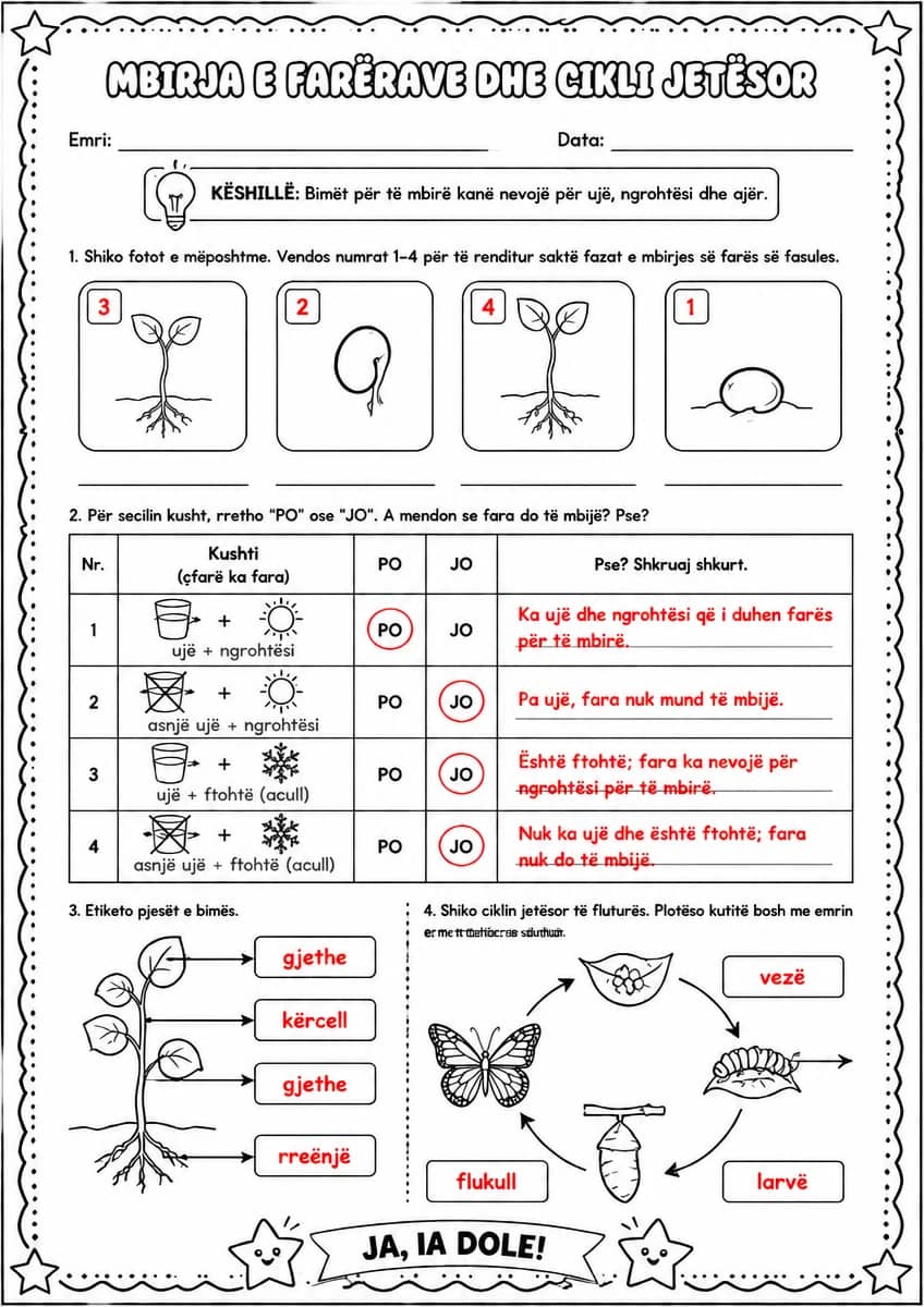 Answer key for Mbirja e farërave dhe cikli jetësor — free printable Science worksheet