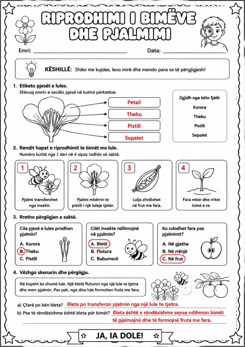Answer key for Riprodhimi i bimëve dhe pjalmimi — free printable Science worksheet