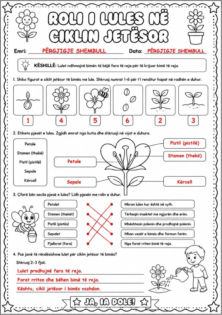 Answer key for Roli i lules në ciklin jetësor — free printable Science worksheet