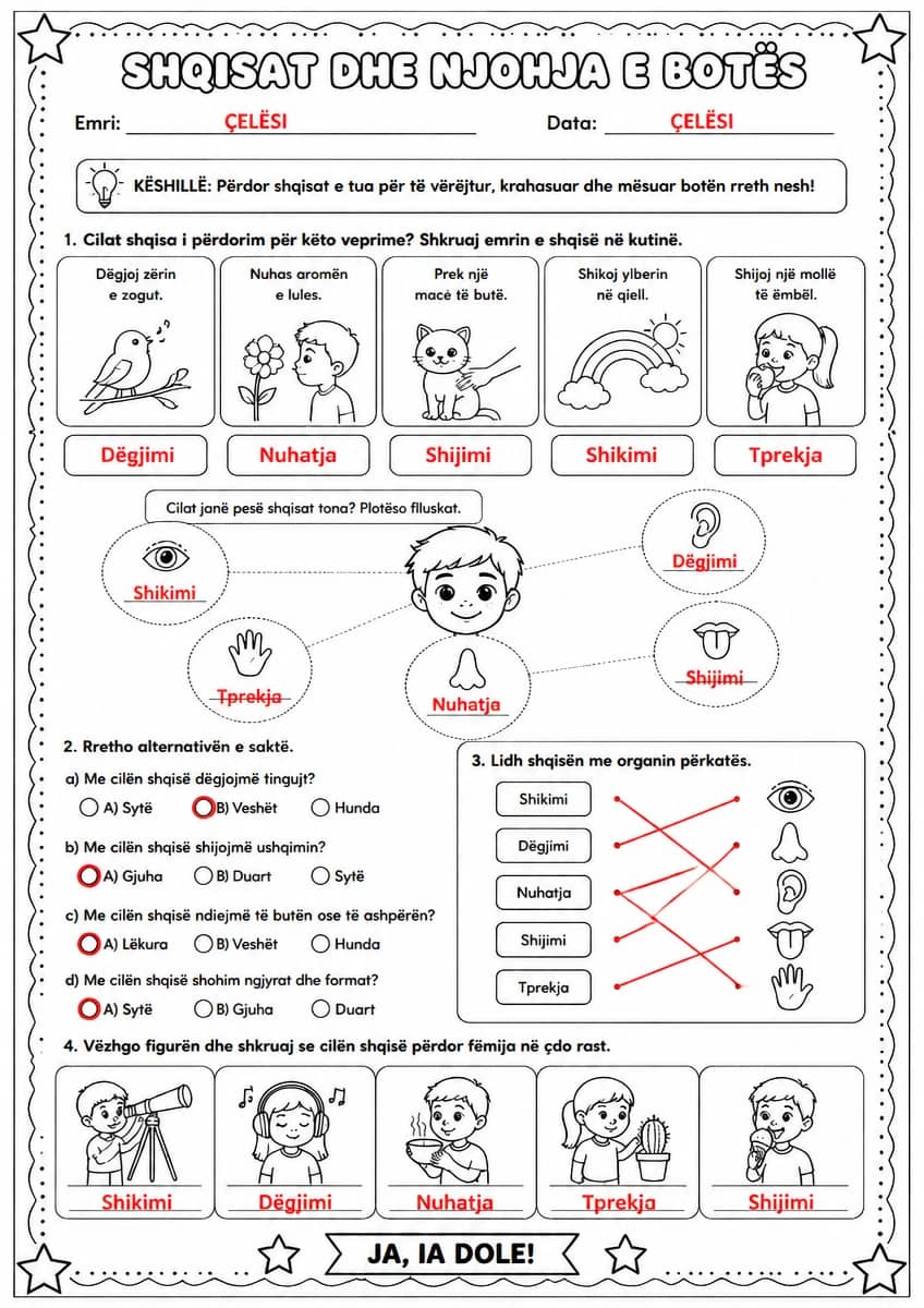 Answer key for Shqisat dhe njohja e botës — free printable Science worksheet