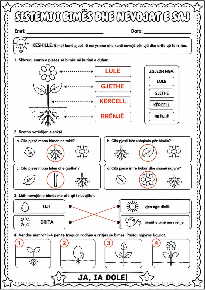 Answer key for Sistemi i bimës dhe nevojat e saj — free printable Science worksheet