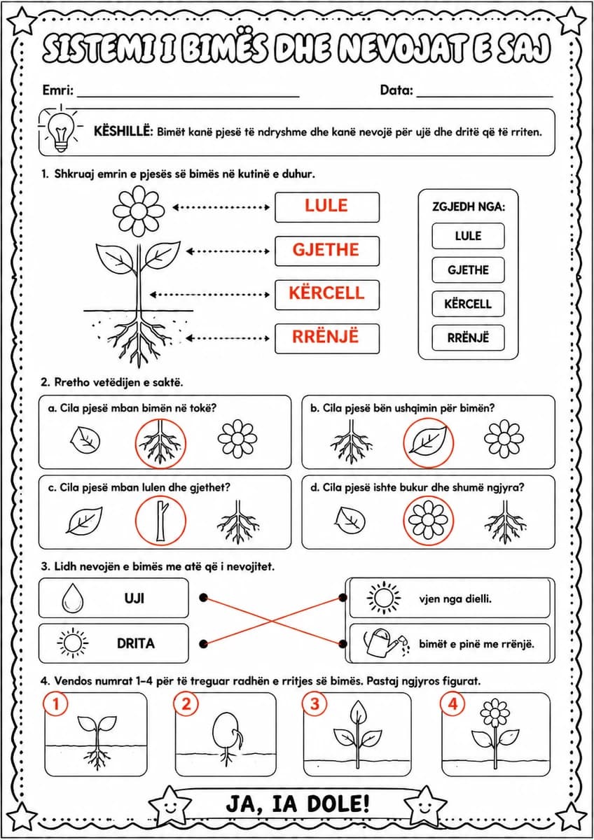 Answer key for Sistemi i bimës dhe nevojat e saj — free printable Science worksheet
