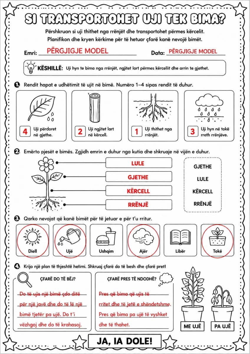 Answer key for Si transportohet uji tek bima? — free printable Science worksheet